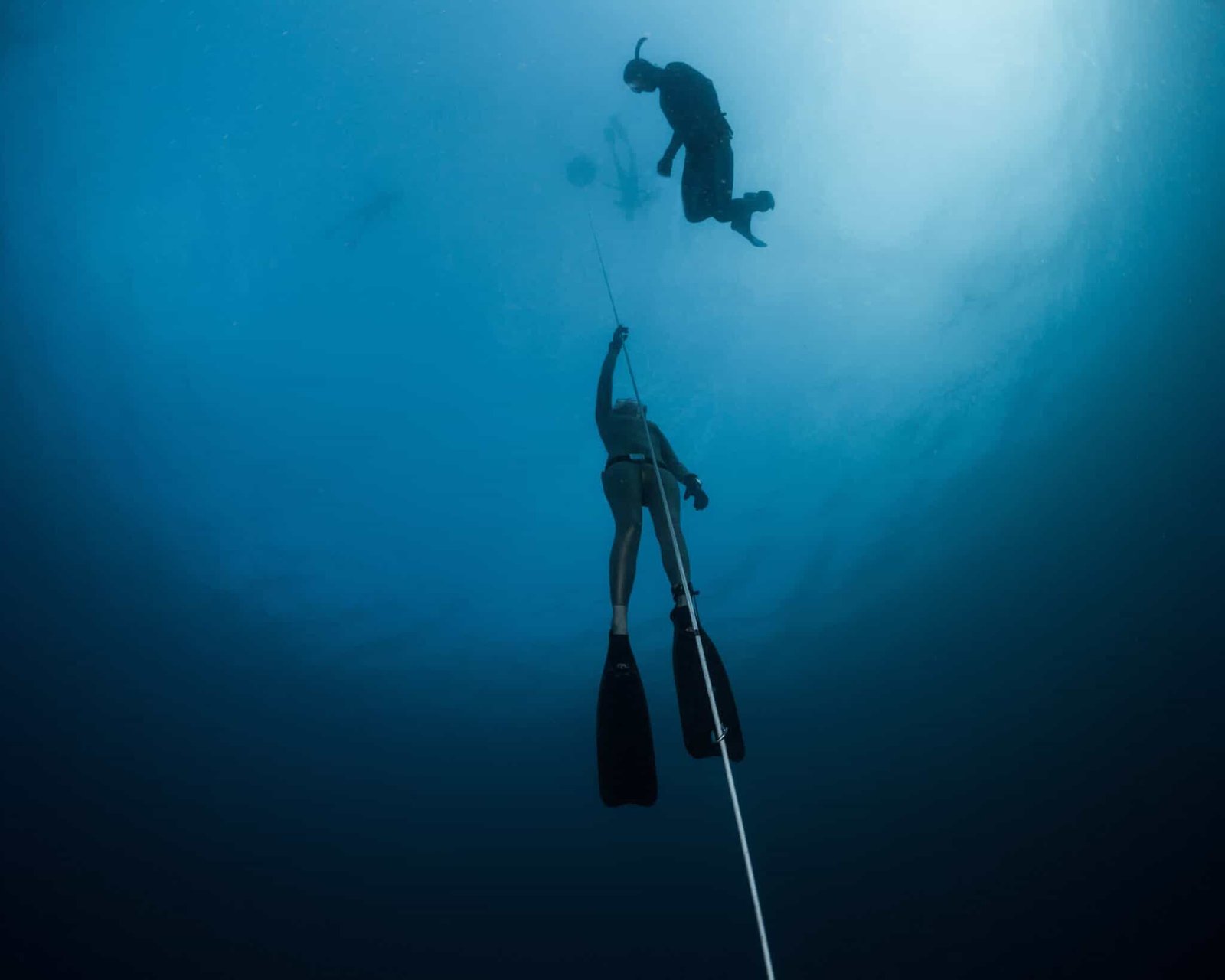 discovery freediving 5