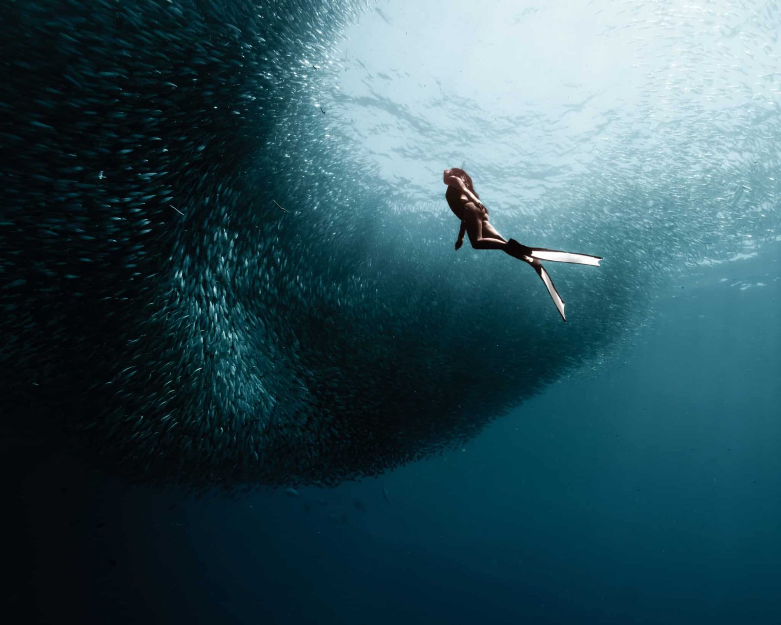 discovery freediving 6