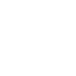 AIDA Logo