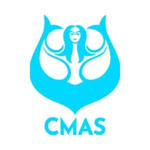 CMAS Logo