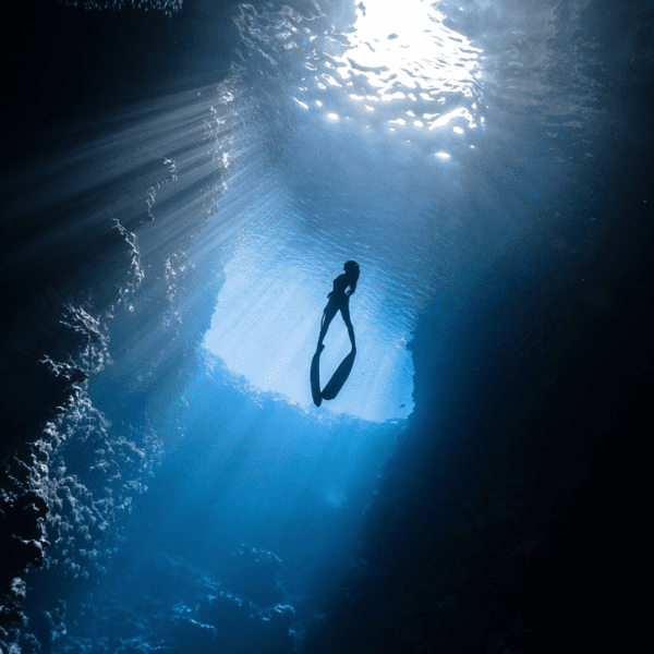 Blue Freedom Apnea - Freediving Panglao Bohol