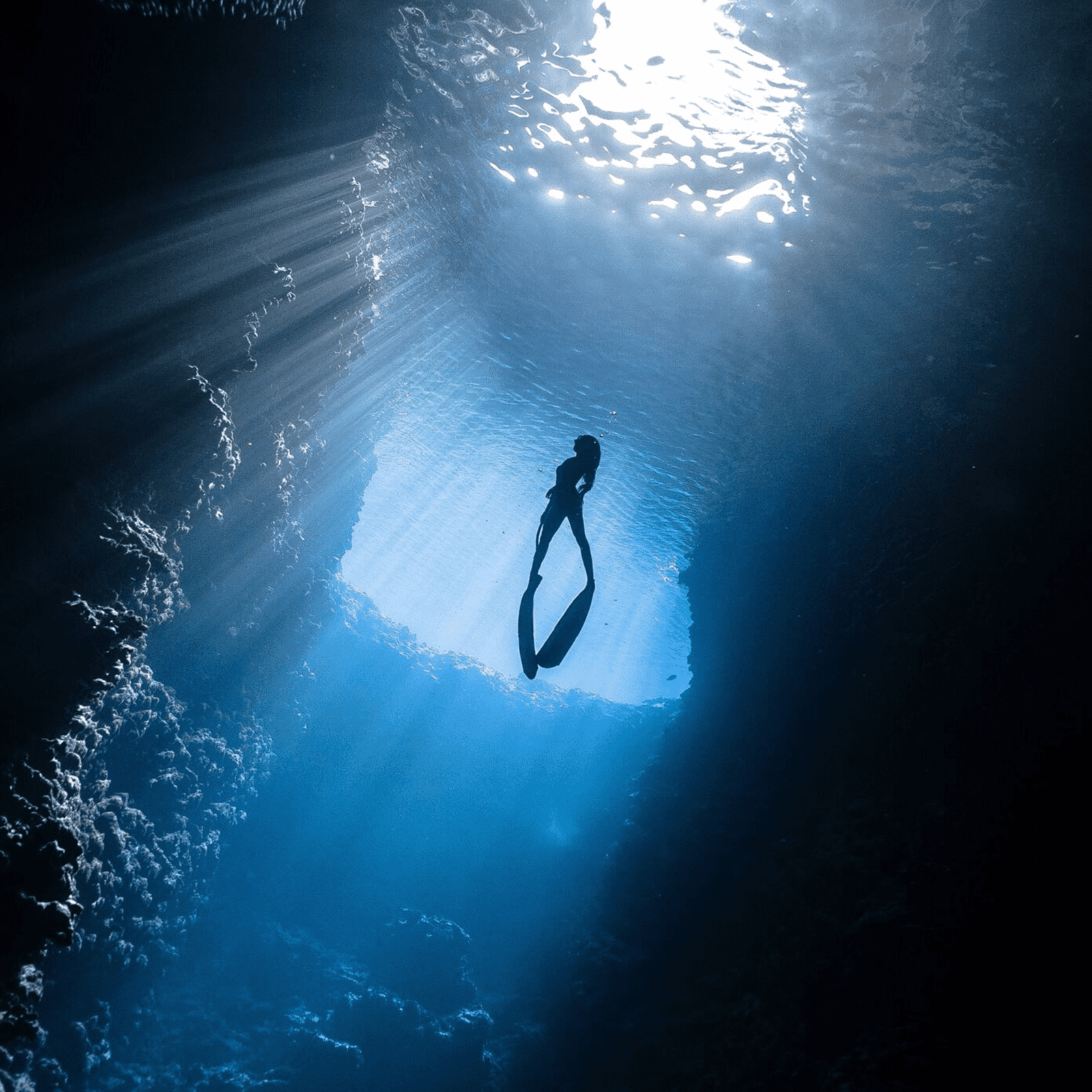 Blue Freedom Apnea gallery photo 1
