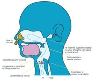 Vasalva Method by Blue Freedom Apnea