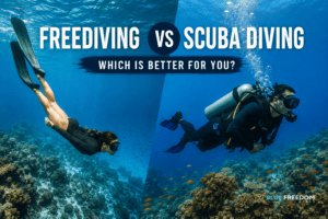 Freediving vs Scuba Diving - Which Is Better for You? - Blue Freedom Apnea