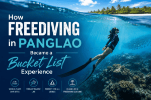 How Freediving in Panglao Became a Bucket List Experience - Blue Freedom Apnea