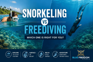 Snorkeling vs Freediving: Which One Is Right for You? - Blue Freedom Apnea